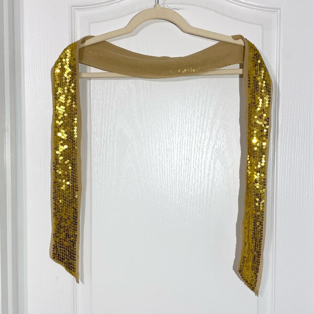 Sheer Gold Silk w/ Gold Sequins Sash Belt 57.5”L x 2.75”W - Picture 1 of 3